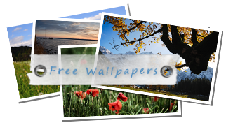 Download free wallpapers